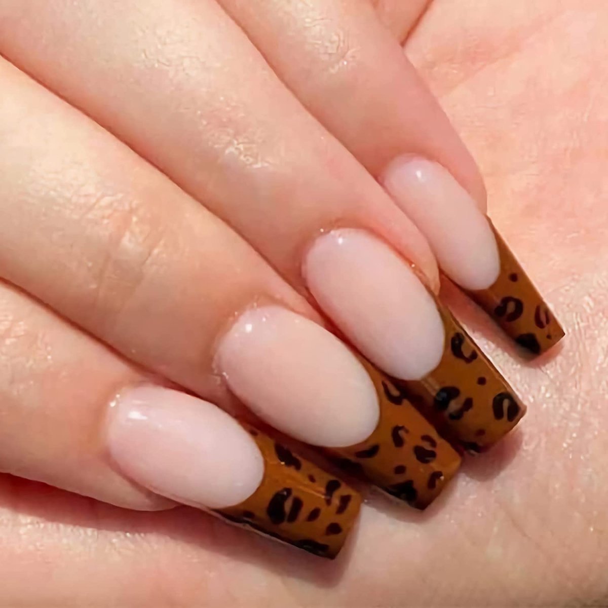 Press On Nails Brown French Glossy Coffin Leopard Nail Kit