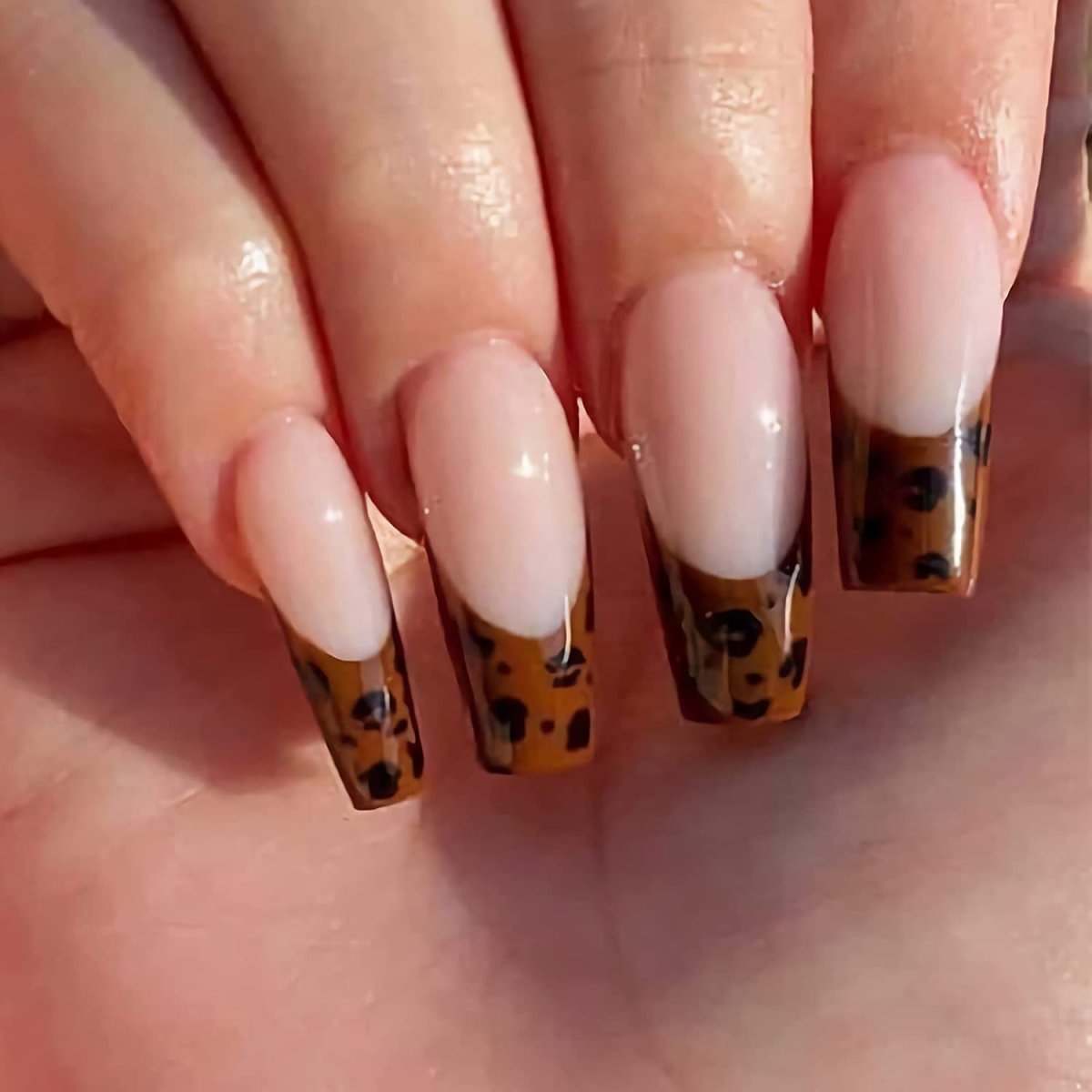 Press On Nails Brown French Glossy Coffin Leopard Nail Kit