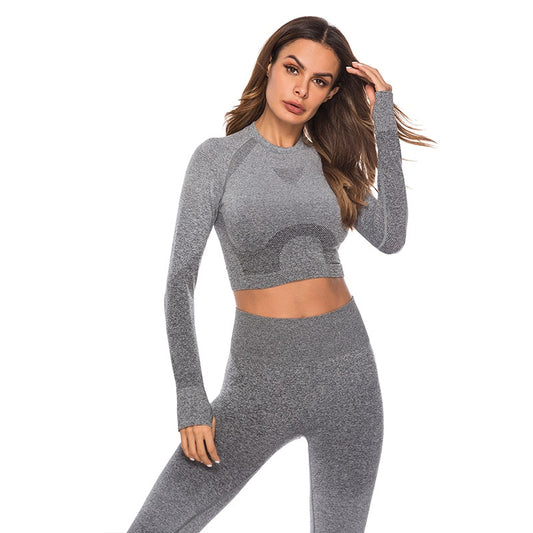 React Seamless Ombre Sleeved Crop - Grey