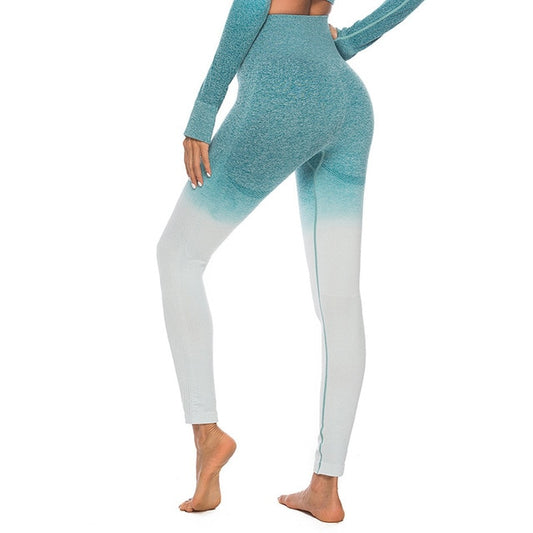 React Seamless Ombre Legging - Teal