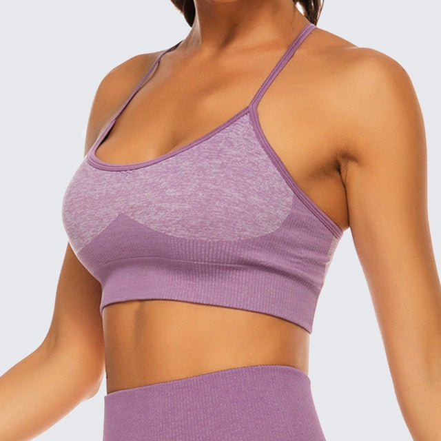 React GRATITUDE Sports Bra - Purple